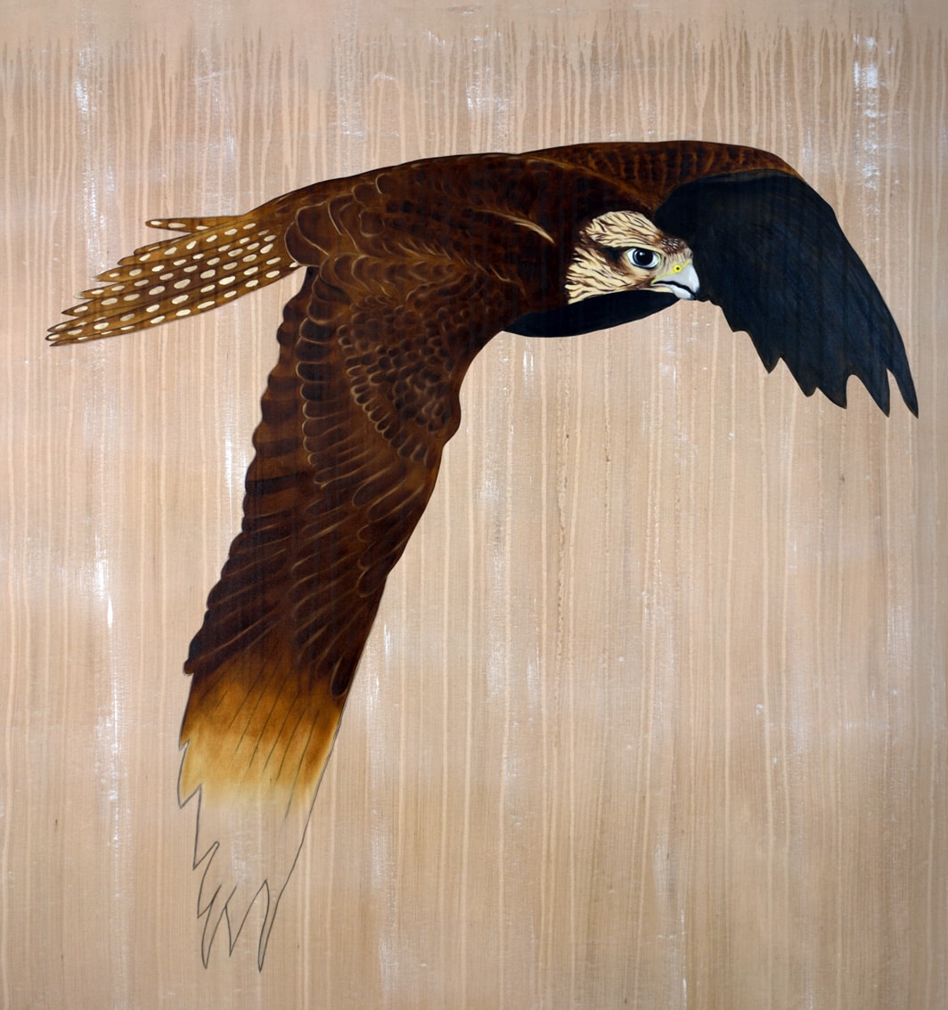 OPERA GALLERY MONACO saker-falcon-falco-cherrug-threatened-endangered-extinction Thierry Bisch Contemporary painter animals painting art  nature biodiversity conservation 